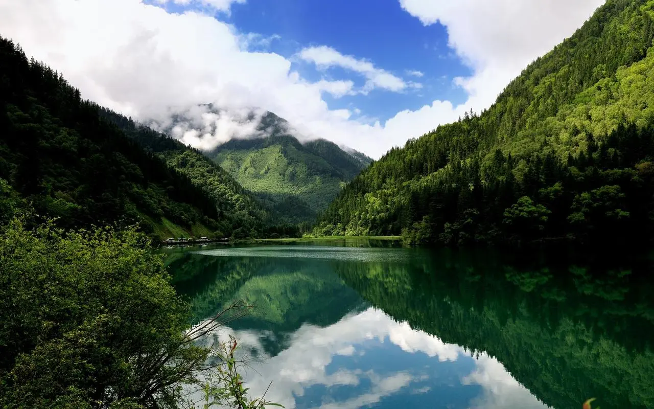 科技高标准